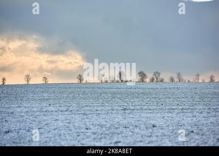 Winterzeit auf dem Land - Dänemark. Dänische Ackerland im Winter. Stockfoto