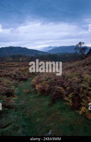 Ein Blick über Little Langdale zu den Langdale Pikes von Holme Fell, Cumbria, Großbritannien Stockfoto