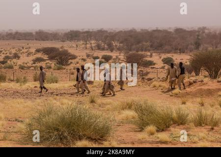 STAAT AM NIL, SUDAN - 5. MÄRZ 2019: Arbeiter bei den Ausgrabungen der antiken Stadt Naqa im Sudan Stockfoto