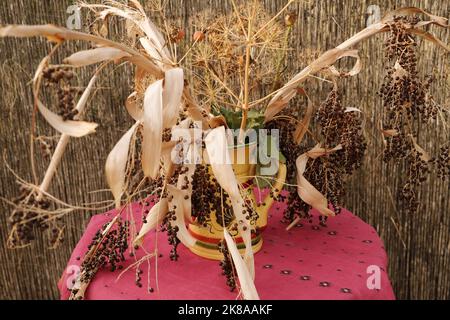 Stillleben, Vase mit trockenen Blumen auf einem Tisch Stockfoto