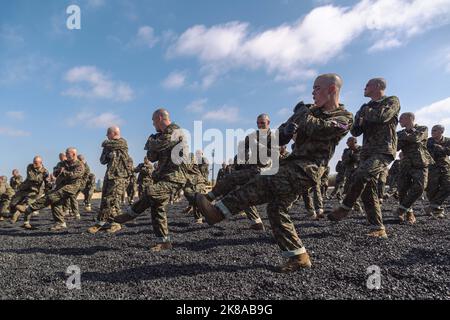 Kalifornien, USA. 3. Oktober 2022. US Marine Corps rekrutiert mit Charlie Company, 1. Rekrut Training Bataillon, führt einen linken Break Fall während Marine Corps Martial Arts Program (MCMAP) im Marine Corps Recruit Depot San Diego, Oktober aus. 3, 2022. MCMAP ist ein integriertes, auf Waffen basierendes System, das das gesamte Spektrum des Kontinuums der Streitkräfte auf dem Schlachtfeld umfasst und zur geistigen, charakterlichen und körperlichen Entwicklung der Marines beiträgt. Quelle: U.S. Marines/ZUMA Press Wire Service/ZUMAPRESS.com/Alamy Live News Stockfoto