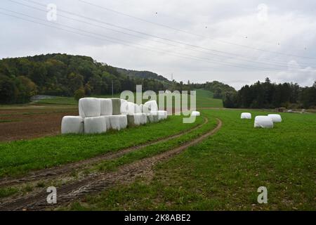 Heuballen in Plastikfolie zwischen einem Feld und einer Weide gestapelt. Einige von ihnen sind über die Wiese verstreut. Stockfoto