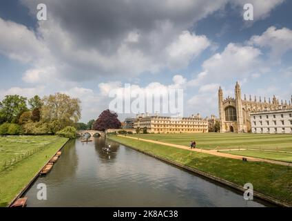 Studenten und Touristen punzen auf dem River Cam in Cambridge mit Blick auf die Colleges und Universitäten Stockfoto