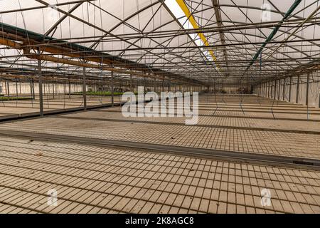 Leeres Gewächshaus mit Bewässerungssystem. Hintergrund des Agrargeschäfts Stockfoto