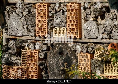 Domäne Dahlem, Landgut und Museum, Ökologische Landwirtschaft, Freilichtmuseum, ehemaliges Rittergut, Insektenhaus, Berlin-Dahlem, Zehlendorf, Berlin Stockfoto