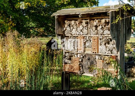 Domäne Dahlem, Landgut und Museum, Ökologische Landwirtschaft, Freilichtmuseum, ehemaliges Rittergut, Insektenhaus, Berlin-Dahlem, Zehlendorf, Berlin Stockfoto