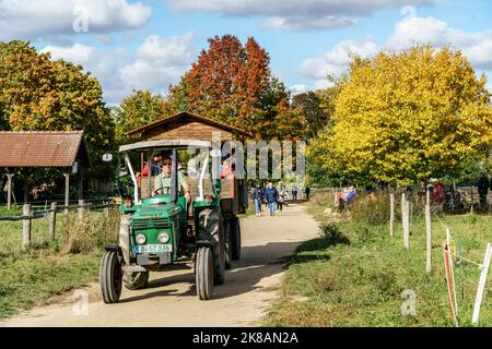 Domäne Dahlem, Landgut und Museum, Ökologische Landwirtschaft, Freilichtmuseum, Traktorrundfahrt, ehemaliges Rittergut, Berlin-Dahlem, Zehlendorf, Ber Stockfoto