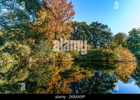 Tiergarten im Herbst, Herbstfarben, verstärkte Blätter, Berlin, Deutschland Stockfoto