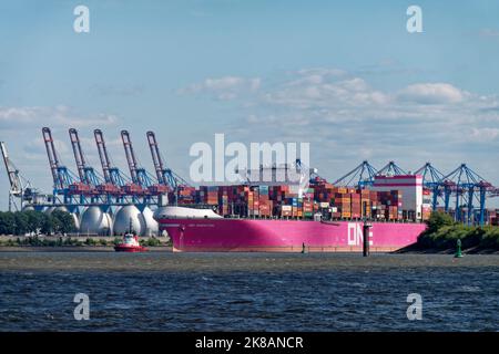 Containerschiff ONE , Hamburger Hafen, Hafenkraene, Deutschland, Europa Stockfoto