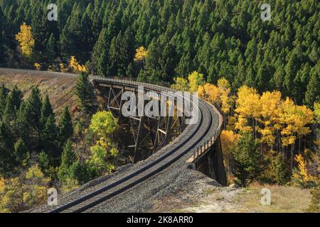 Im Herbst fahren Sie unterhalb des mullan-Passes auf der Kontinentalscheide in der Nähe von Austin, montana, mit dem Zug Stockfoto