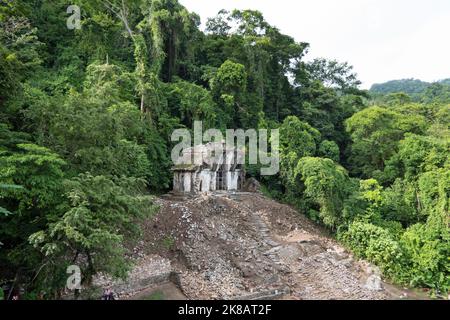 Blick auf die archäologische Stätte der Maya in Palenque in Chiapas, Mexiko. Maya-Ruinen und antikes Gebäude: Tempel des Foliated Cross Stockfoto