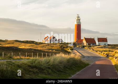 Leuchtturm in der Dünen-Gegend auf der Dutch Wadden Island von Texel. Stockfoto