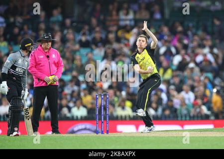 22.. Oktober 2022; SCG, NSW, Australien: T20 World Cup Cricket, Australien gegen Neuseeland: Adam Zampa von Australien Boule Credit: Action Plus Sports Images/Alamy Live News Stockfoto