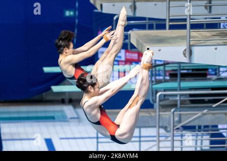 22. Oktober 2022, Berlin: Wasserspringen: WM, Entscheidungen, Synchronspringen 3 m, Frauen: Yani Chang (vorne) und Yiwen Chen aus China. Sie nahmen den ersten Platz ein. Foto: Christophe Gateau/dpa Stockfoto