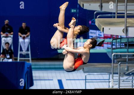 22. Oktober 2022, Berlin: Wasserspringen: WM, Entscheidungen, Synchronspringen 3 m, Frauen: Yani Chang (vorne) und Yiwen Chen aus China. Sie nahmen den ersten Platz ein. Foto: Christophe Gateau/dpa Stockfoto