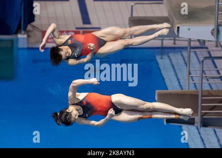 22. Oktober 2022, Berlin: Wasserspringen: WM, Entscheidungen, Synchronspringen 3 m, Frauen: Yani Chang (vorne) und Yiwen Chen aus China. Sie nahmen den ersten Platz ein. Foto: Christophe Gateau/dpa Stockfoto