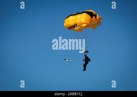 Ein Mitglied der US Army Golden Knights fliegt mit dem Fallschirm zur Miramar Airshow 2022, während sein Flugzeug im Hintergrund in San Diego, Kalifornien, landet Stockfoto