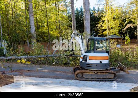 Gefallener Baum nach Sturm beschädigter Zaun nach Hurrikan in entwurzelten Bäumen fiel auf die Straße und musste nach dem Sturz mit einem Traktor angehoben werden Stockfoto