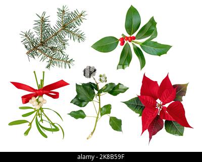 Mistel Bund mit roten Satinbogen gebunden, Weihnachtsstachelzweig, Weihnachtsbaum Zweig, Efeu und Poinsettia Heiligabend Blume oder Flor de Pascua Urlaub Stockfoto