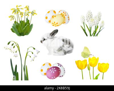 Kleines fleckiges Kaninchen, bemalte ostereier, Schneeglöpfen, Muscari, Kuhslip, tulpenblüten und Schmetterling isoliert auf Weiß Stockfoto