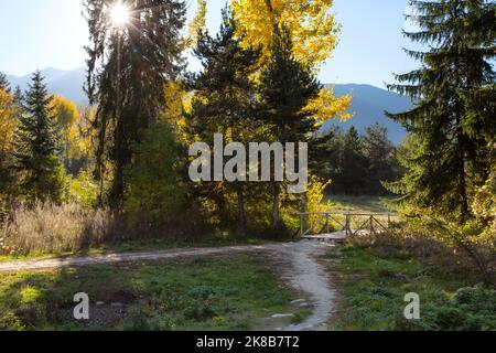 Herbst Naturlandschaft mit der Brücke über den Bach und bunten Bäumen, Sonnenstrahlen in Bansko Skistraße, Bulgarien Stockfoto