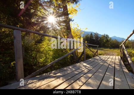 Herbst Naturlandschaft mit der Brücke über den Bach und bunten Bäumen, Sonnenstrahlen in Bansko Skistraße, Bulgarien Stockfoto
