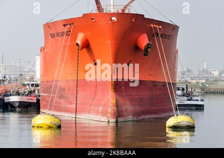 Rotterdam , Niederlande, 4. September 2022: Vorderansicht eines Schiffes, das in einem Hafen im Industriegebiet Botlek verankert ist Stockfoto