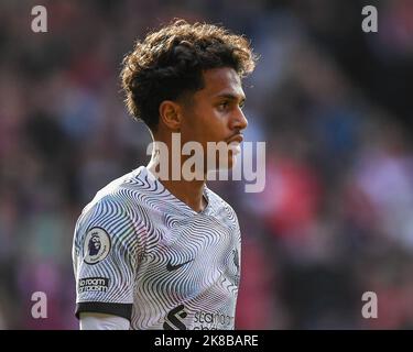 Nottingham, Großbritannien. 22. Oktober 2022. Fabio Carvalho #28 von Liverpool während des Premier League-Spiels Nottingham Forest gegen Liverpool im City Ground, Nottingham, Großbritannien, 22.. Oktober 2022 (Foto von Mike Jones/News Images) in Nottingham, Großbritannien am 10/22/2022. (Foto von Mike Jones/News Images/Sipa USA) Quelle: SIPA USA/Alamy Live News Stockfoto