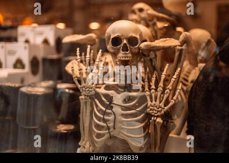 Fensterdisplay mit gruseligen Skelett und Totenkopf für Halloween freitagseinkäufe, Dekoration Stockfoto