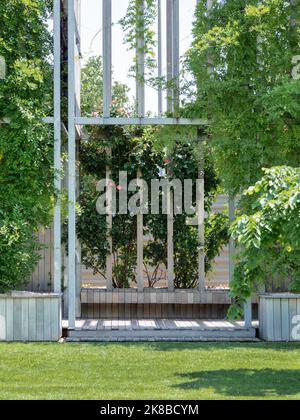 Spalier-Rosen auf Holzbänken im öffentlichen Park. Schöne Blumen in der Nähe Platz für Ruhe und Rasen mit grünem Gras. Stockfoto