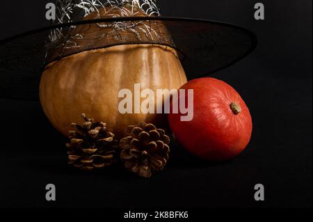 Stillleben. Kürbisse in Zaubererhut und Tannenzapfen auf schwarzem Hintergrund mit Werbefläche. Halloween Trick and Treat Stockfoto