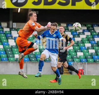 Windsor Park, Belfast, Nordirland, Großbritannien. 22 Okt 2022. Premiership der Danske Bank – Linfield / Larne. Action aus dem heutigen Spiel im Windsor Park (Linfield in Blau). Larne-Torhüter Rohan Ferguson und Joel Cooper treffen aufeinander. Kredit: CAZIMB/Alamy Live Nachrichten. Stockfoto