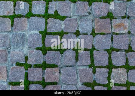 Pflastersteine mit Moos wachsen zwischen Steinen im Sonnenlicht mit Schatten im Park Ukraine Stockfoto