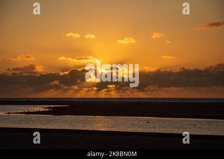 Sonnenuntergang, Vögel, Sonne und Wolken in Kijkduin, Den Haag, Niederlande. Stockfoto