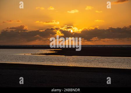 Sonnenuntergang, Vögel, Sonne und Wolken in Kijkduin, Den Haag, Niederlande. Stockfoto