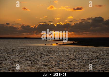 Sonnenuntergang, Vögel, Sonne und Wolken in Kijkduin, Den Haag, Niederlande. Stockfoto