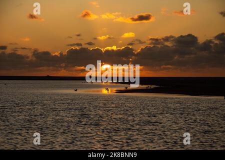 Sonnenuntergang, Vögel, Sonne und Wolken in Kijkduin, Den Haag, Niederlande. Stockfoto