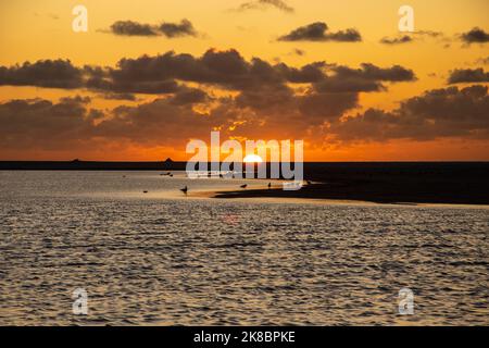 Sonnenuntergang, Vögel, Sonne und Wolken in Kijkduin, Den Haag, Niederlande. Stockfoto