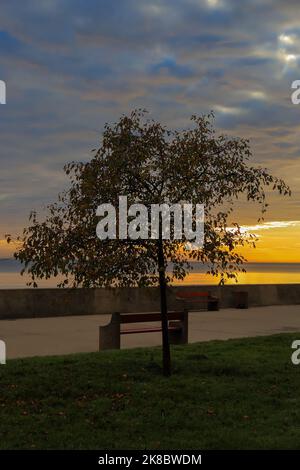 Ein einsamer Baum vor dem Hintergrund der aufgehenden Sonne über dem Meer in Gdynia, Polen Stockfoto