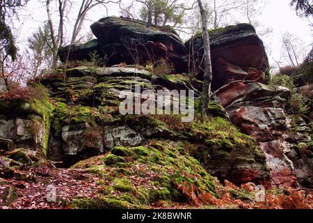 Gesteinshaufen mit etwas Moos im Pfälzer Wald in Deutschland in der Nähe von Devil's Table an einem Wintertag. Stockfoto