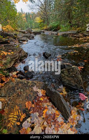Landschaft eines kleinen Flusses, der durch einen Wald in Herbstfarben fließt, Parc de la Mauricie, Quebec Stockfoto