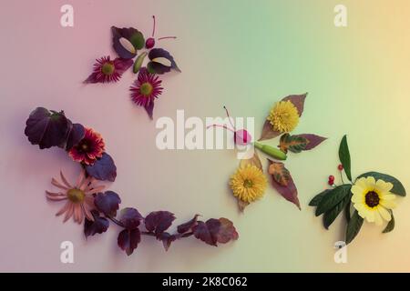 Schmetterlinge aus bunten Blättern und hellen Blumen auf weißem Hintergrund Stockfoto