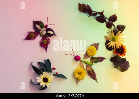Schmetterlinge aus bunten Blättern und hellen Blumen auf weißem Hintergrund Stockfoto