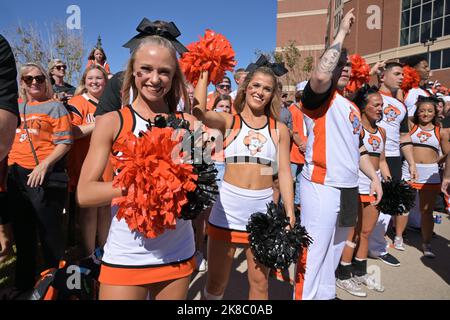 Stillwater, OK, USA. 22. Oktober 2022. Cheerleader der Oklahoma State Cowboys auf dem Spaziergang vor dem Spiel zwischen der University of Texas Longhorns und den Oklahoma State University Cowboys im Boone Pickens Stadium in Stillwater, OK. Patrick Green/CSM/Alamy Live News Stockfoto