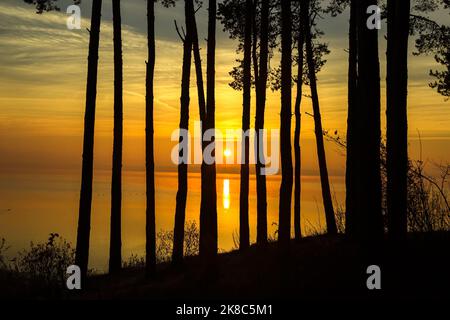Spiegelung der Sonne während des Sonnenaufgangs auf dem See Stockfoto