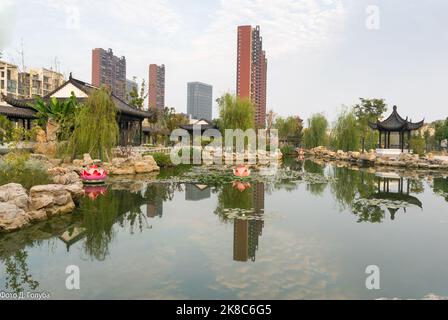 Kleiner, gut ausgestatteter Teich in einem Philosophiemuseum in China Stockfoto