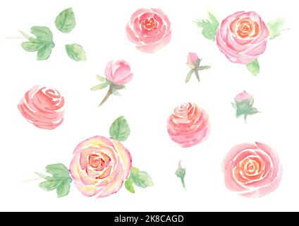 Aquarell rosa Rosenblüten, Blätter, Knospen isoliert auf weißem Hintergrund gesetzt. Aquarell handgezeichnete Blumenfrühling botanische Illustration. Drucken für te Stockfoto