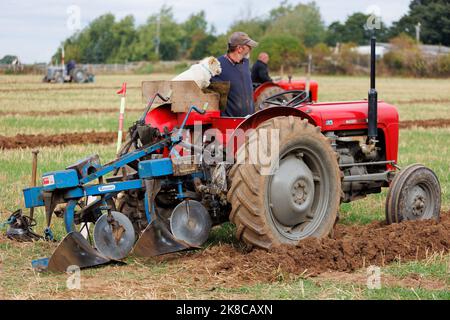 Der Sheepy and District 106. Annual Plüging, Hedecutting and Ditching Wettbewerb fand in North Warwickshire, England, statt. Die Veranstaltung zeigt die Fähigkeit, entweder mit modernen, Vintage-Traktoren oder Pferden zu pflügen. Im Bild der lokale Bauer Richard Ingram mit seinem Hund Jerry, der ihn auf einem speziellen Plattformsitz auf dem Traktor zu Veranstaltungen begleitet. Stockfoto