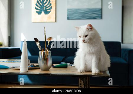 Weiße Katze sitzt auf dem Tisch in der Nähe von Pinsel über der Wand. Platz für Interpret kopieren Stockfoto
