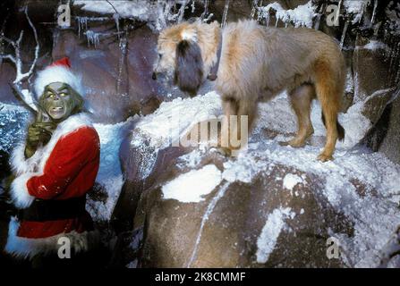 Jim Carrey & Max the Dog Film: How the Grinch Stole Christmas (USA/DE 2000) Charaktere: Grinch & Max the Dog / Literaturverfilmung nach 'wie der Grinch Weihnachten gestohlen hat' (nach dem Buch von Dr. Seuss) Regie: Ron Howard 08 November 2000 **WARNUNG** Dieses Foto ist nur für redaktionelle Verwendung bestimmt und unterliegt dem Copyright von UNIVERSAL-BILDERN und/oder dem Fotografen, der von der Film- oder Produktionsfirma beauftragt wurde und darf nur von Publikationen im Zusammenhang mit der Bewerbung des oben genannten Films reproduziert werden. Eine obligatorische Gutschrift für UNIVERSELLE BILDER ist erforderlich. Der Fotograf sollte auch c Stockfoto